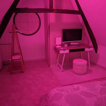 Apartamento Le Spacidule Saint-Amand-les-Eaux